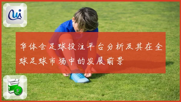 华体会足球投注平台分析及其在全球足球市场中的发展前景