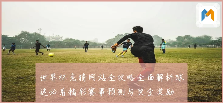 世界杯竞猜网站全攻略全面解析球迷必看精彩赛事预测与奖金奖励